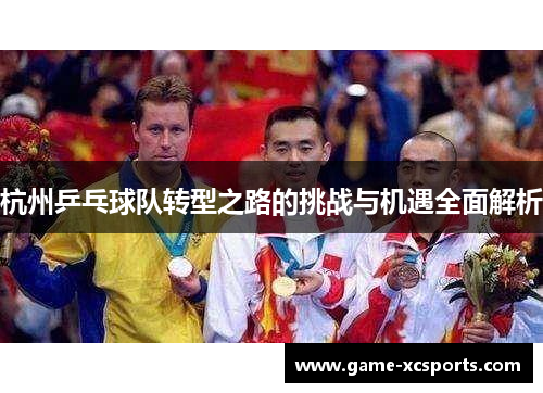 杭州乒乓球队转型之路的挑战与机遇全面解析