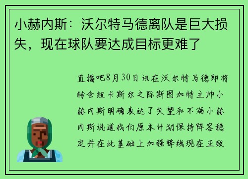 小赫内斯：沃尔特马德离队是巨大损失，现在球队要达成目标更难了