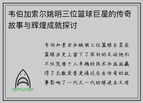 韦伯加索尔姚明三位篮球巨星的传奇故事与辉煌成就探讨